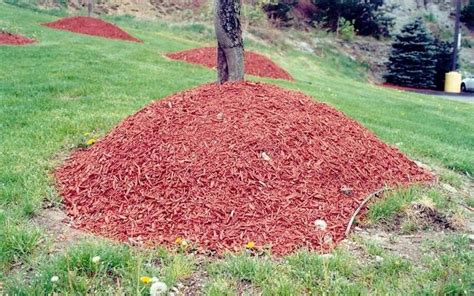 Increasing the Efficiency of Water Use with Volcano Spell Bark Mulch